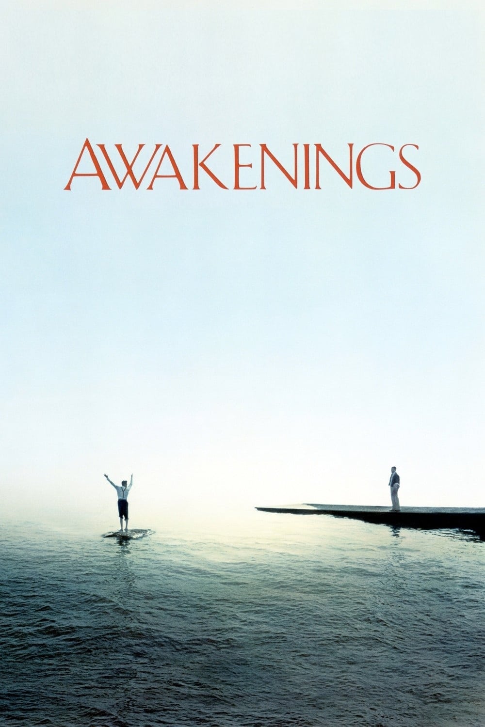 Poster for the movie "Awakenings"