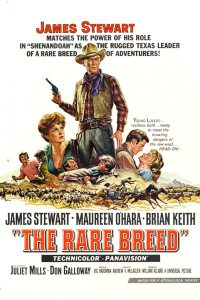 Poster for the movie "The Rare Breed"