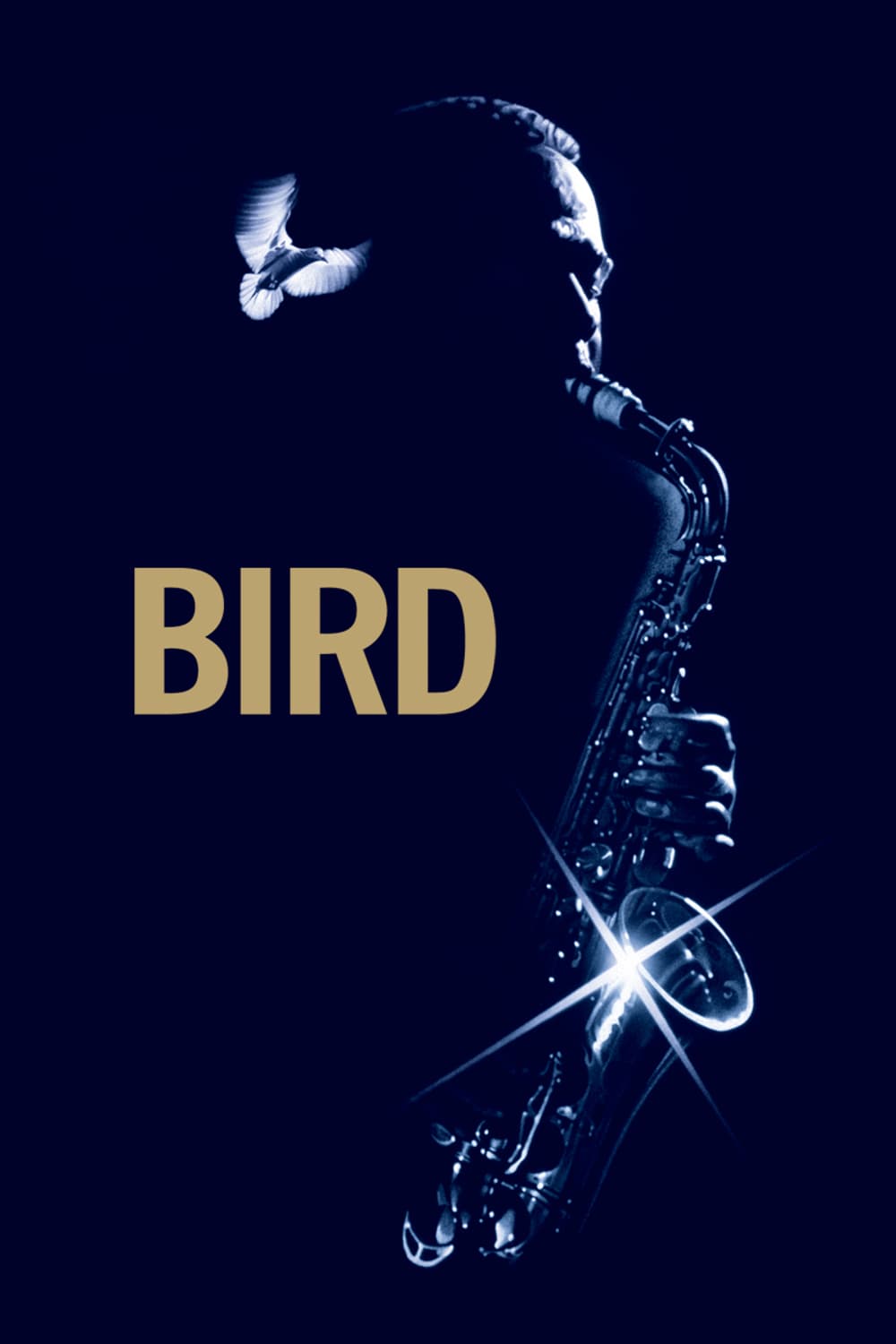 Poster for the movie "Bird"