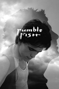 Poster for the movie "Rumble Fish"