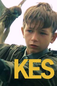 Poster for the movie "Kes"