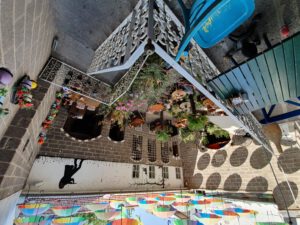 Historic Amed House