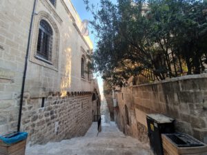 Mêrdîn Alley – 10