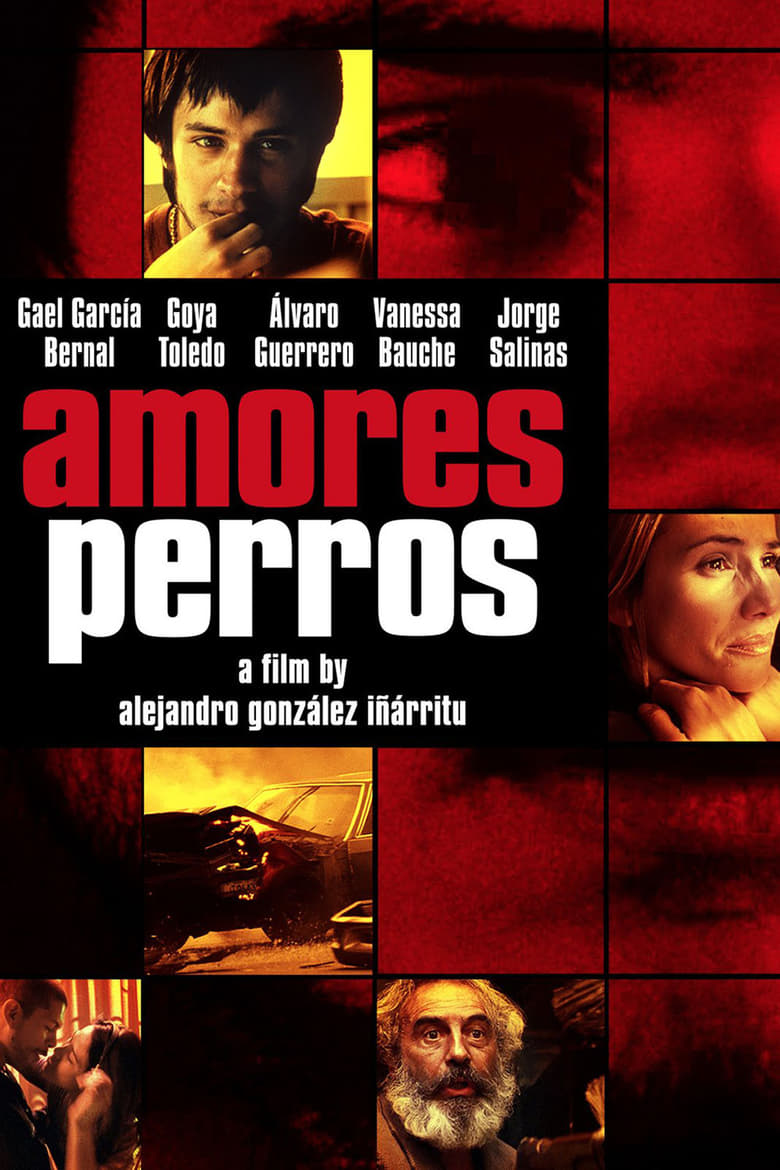 Poster for the movie "Amores Perros"