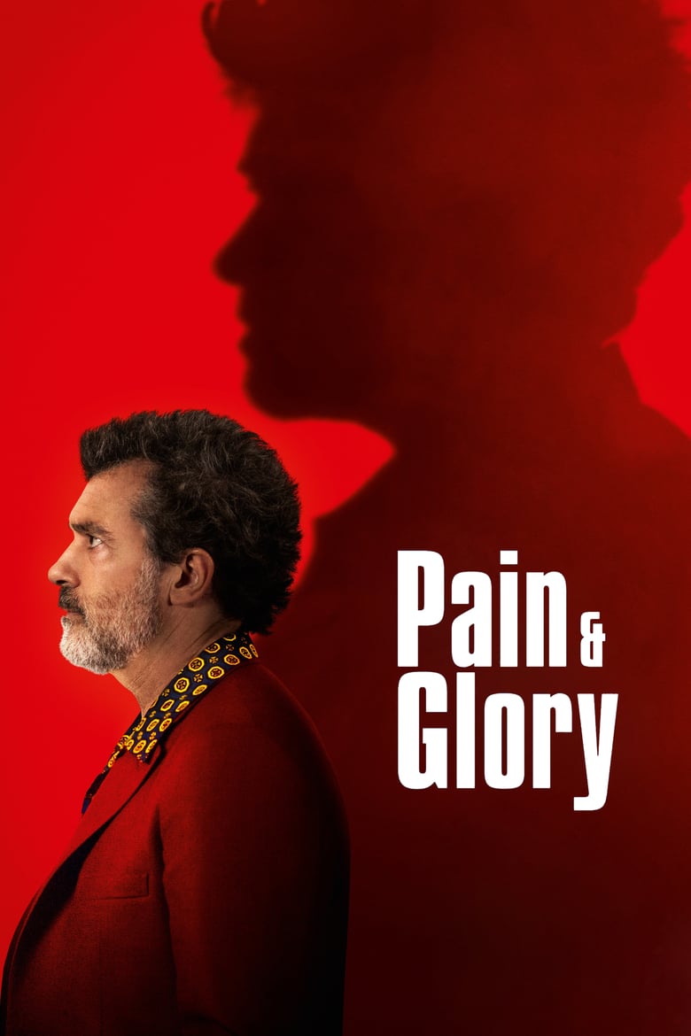 Poster for the movie "Pain and Glory"