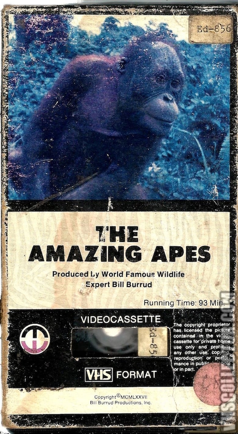 Poster for the movie "The Amazing Apes"