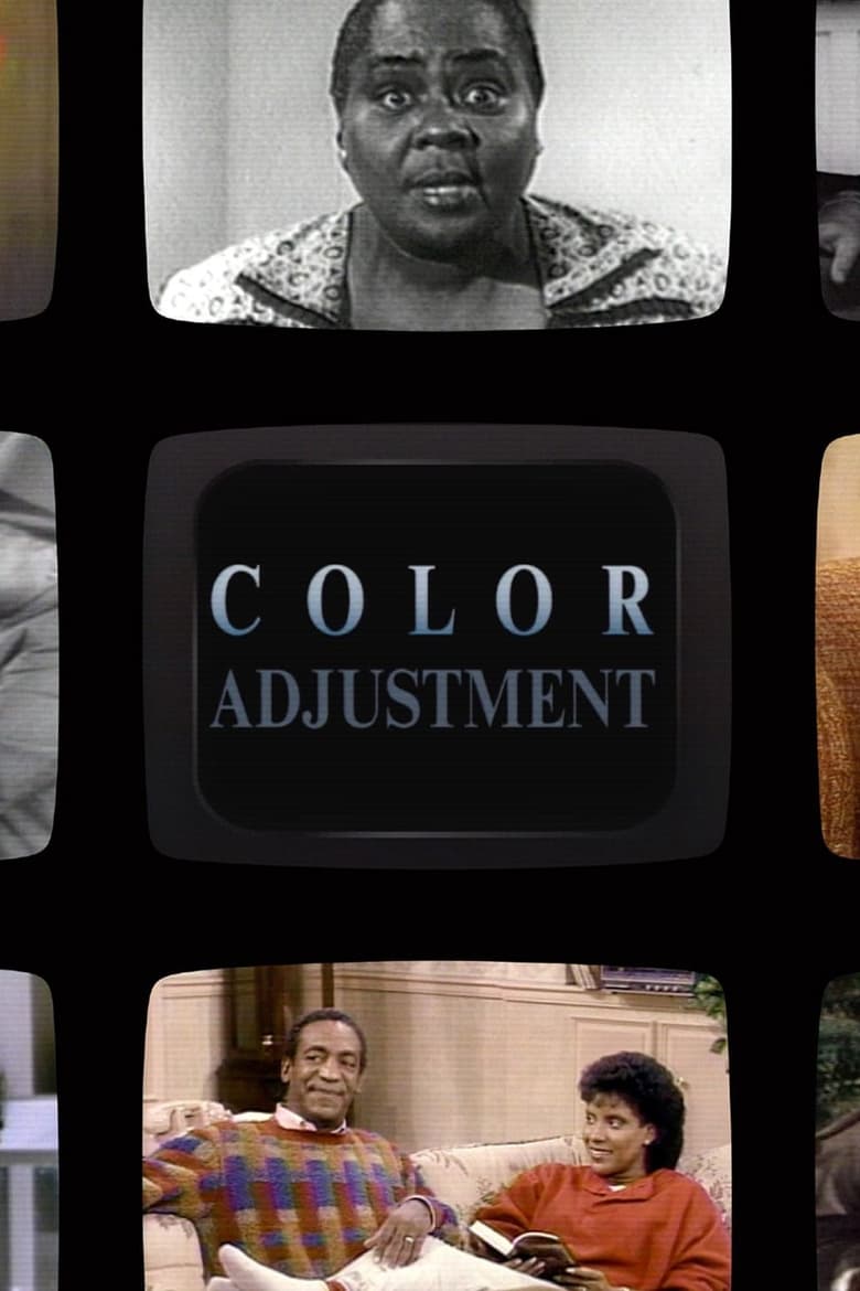 Poster for the movie "Color Adjustment"