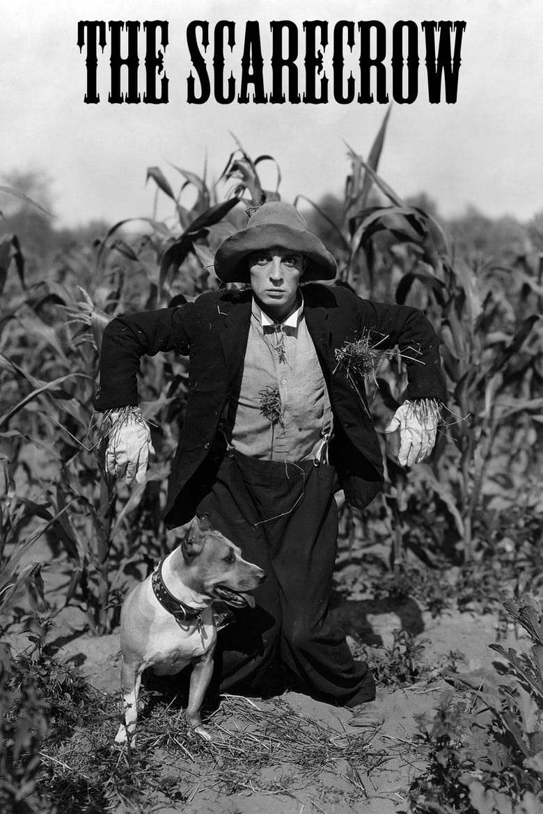 Poster for the movie "The Scarecrow"