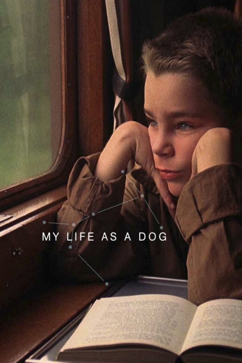 Poster for the movie "My Life as a Dog"