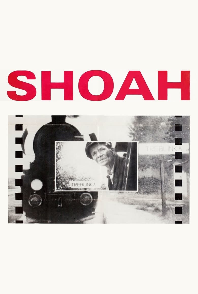 Poster for the movie "Shoah"