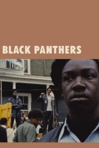 Poster for the movie "Black Panthers"