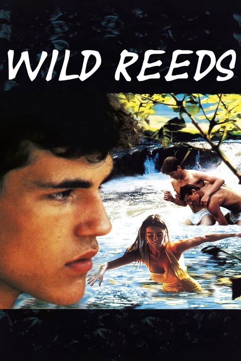 Poster for the movie "Wild Reeds"