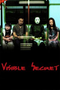 Poster for the movie "Visible Secret"