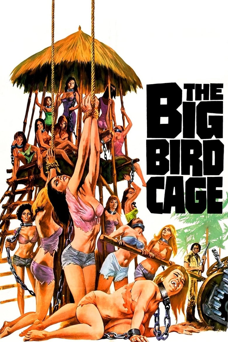 Poster for the movie "The Big Bird Cage"