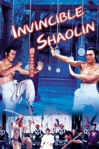 Poster for the movie "Invincible Shaolin"