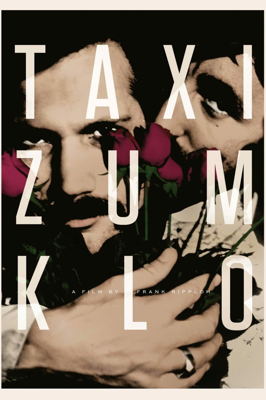 Poster for the movie "Taxi to the Toilet"
